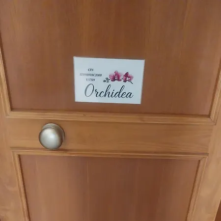 Orchidea Apartament Alghero
