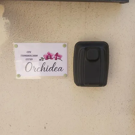 Orchidea *